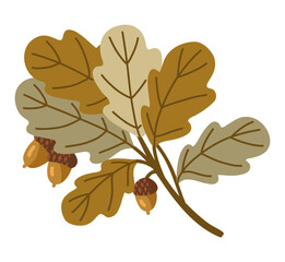 Fall design element depicting isolated autumn oak branch with acorns on white. Vector flat illustration