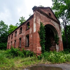Ruined red brick building overgrown
