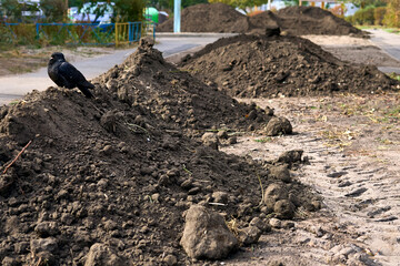 Pile of fertile soil for adding to lawns.Landscaping