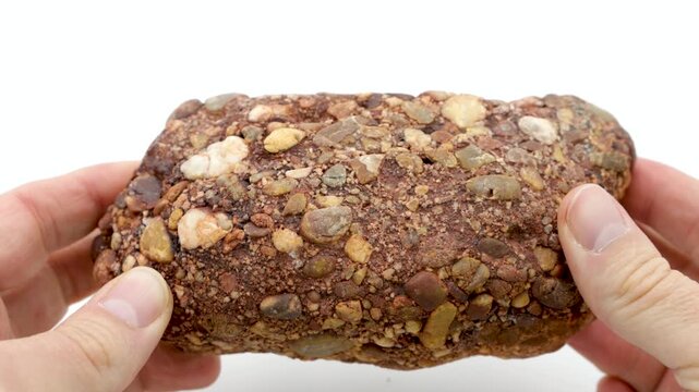 mineralogical and petrological investigations, a sedimentary rock, specifically a conglomerate