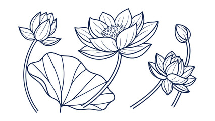 Vector art of collection of lotus flowers and leaves in various stages of bloom, , blue line art.