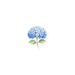 Blue hydrangea watercolor sticker