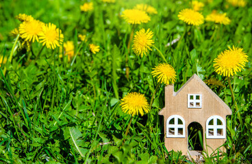 The symbol of the house stands among the yellow dandelions
