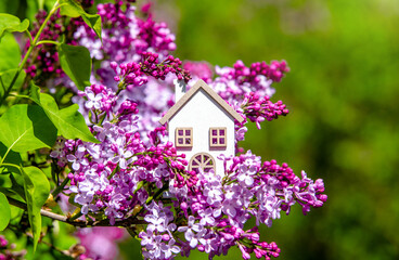 The symbol of the house among the branches of the pink lilac
