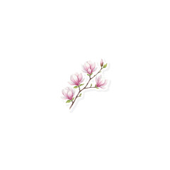 Magnolia blossom watercolor art