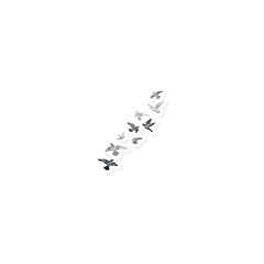 Flying birds watercolor sticker