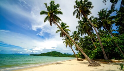 Tropical beach with palm trees under a partly cloudy sky