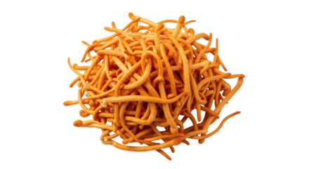 Isolated Cordyceps Militaris