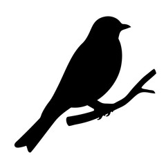 Black Silhouette of a Small Bird Perched on a Twig Branch
