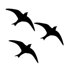 Silhouette of Three Birds in Flight, White Background, Simple Design Element