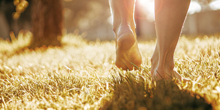 Abstract background. Close up of bare feet walking in a field of grass under the yellow morning sunlight representing the connection between humans and nature