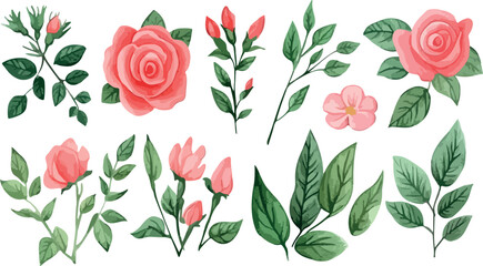 Collection of delicate hand drawn botanical elements featuring vibrant flowers and greenery on white