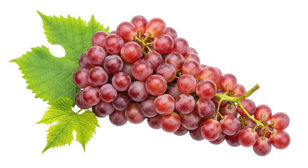 Isolated Bunch of Red Grapes