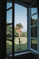 Fototapeta premium Tropical palm tree seen through an open window in summer garden, peaceful wedding morning view