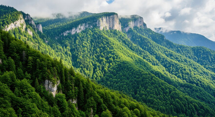 Fototapeta premium Lush green mountain slopes covered in dense forest under a cloudy sky landscape