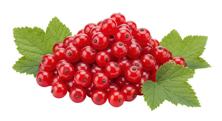 Isolated Red Currant Pile