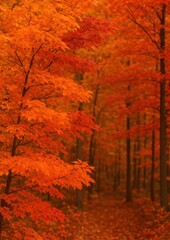 Vibrant autumn forest scene