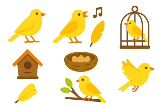 Colorful Canary Icons. Flat vector mini-illustrations canary birds in colors children's illustrations: yellow canary, singing bird