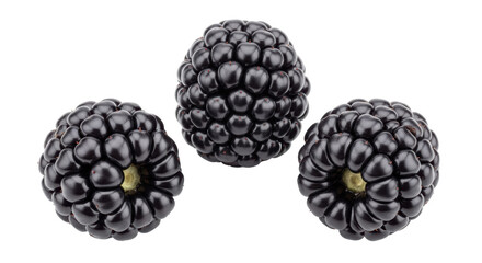 Isolated Blackberries