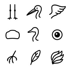 Obraz premium Stork Anatomy Icons. Outline icon set of stork anatomy: long legs, curved beak, wings, tail feathers, body, neck, eyes, claws,