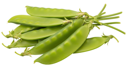 Isolated Bunch of Snow Peas