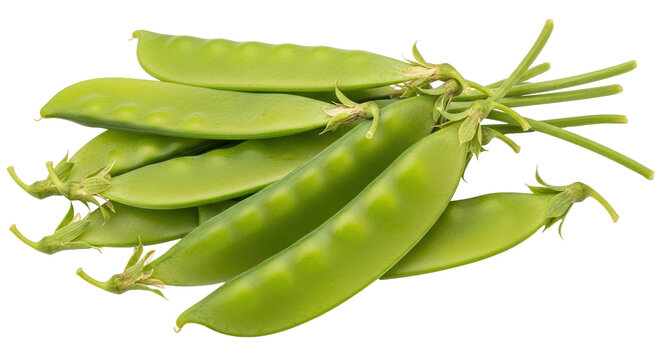 Isolated Bunch of Snow Peas