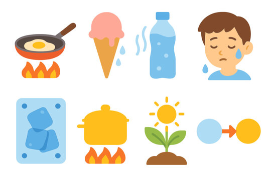 Everyday Endothermic Icons. Flat vector mini-illustrations everyday endothermic examples in colors children's illustrations: