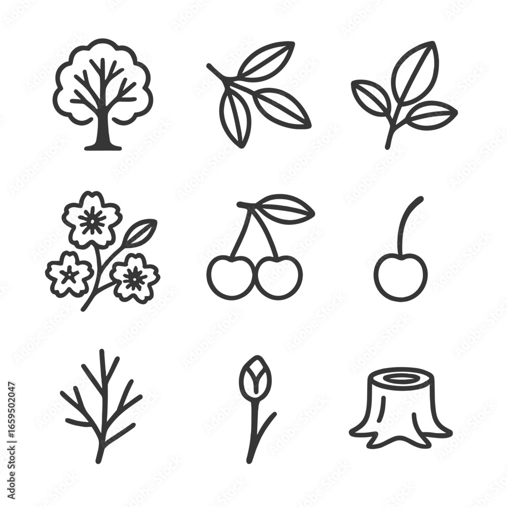 Poster cherry tree icon set. outline icon set of cherry tree silhouettes: full tree, branch cluster, leaf c