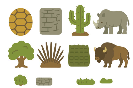 Nature's Tough Icons. Flat vector mini-illustrations toughness in nature in colors children's illustrations: tortoise shell,