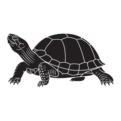 Iconic Box Turtle Silhouette Featuring Armored Look – Box Turtle Vector Artwork for Modern Graphics – Box Turtle Illustration – Silhouette of Box Turtle