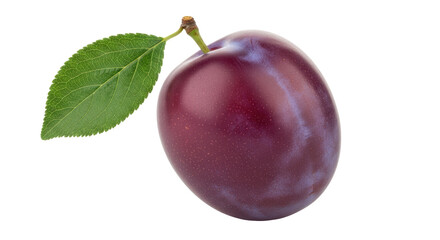 Isolated Purple Plum