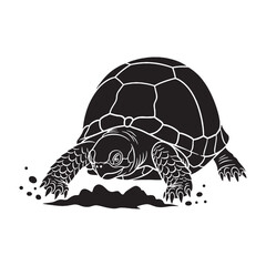 Defined Box Turtle Silhouette Featuring Dome-Like Body – Box Turtle Vector Template for Creative Work – Box Turtle Illustration – Silhouette of Box Turtle