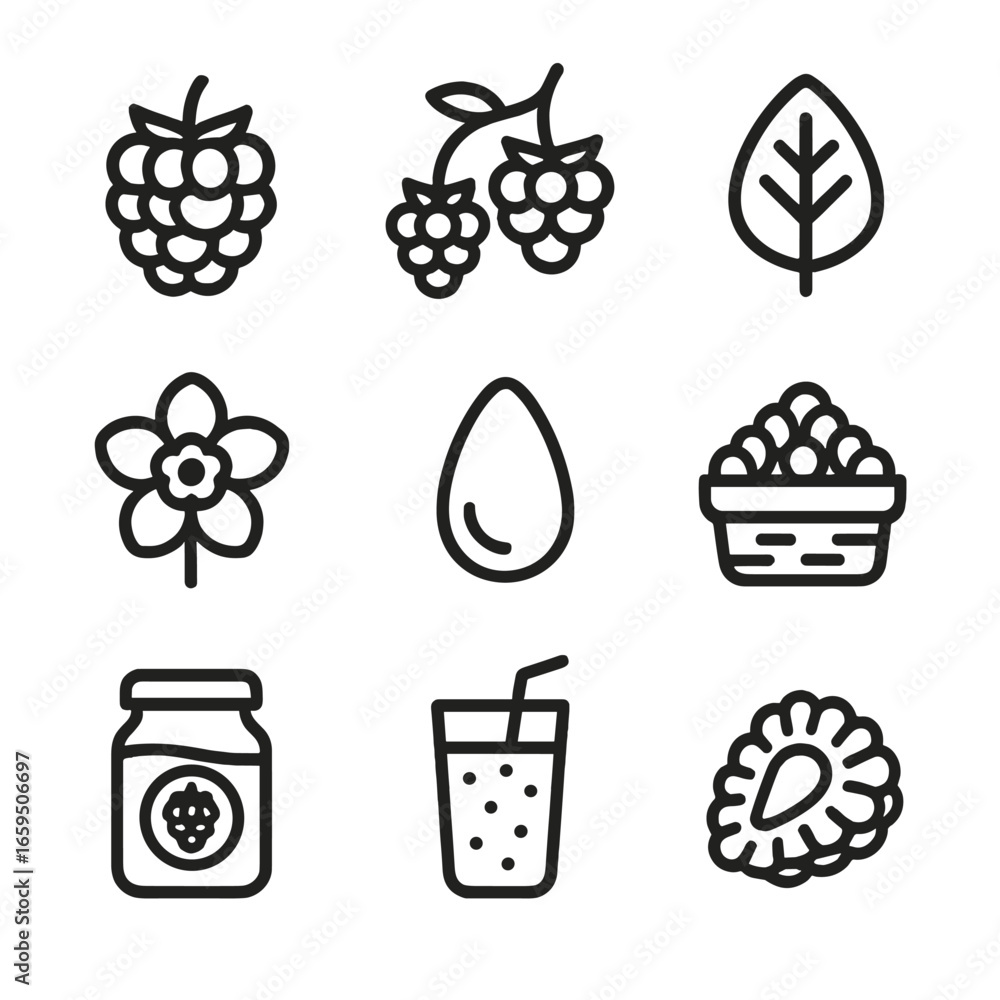 Poster raspberry icon collection. outline icon set of raspberry fruits: whole raspberry, raspberry cluster,