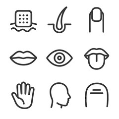 Smooth Body Icons. Outline icon set of smooth body parts: skin patch, hair strand, fingernail, lip contour, eye iris, tongue, palm
