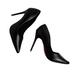 luxury black fashionable women shoe isolated