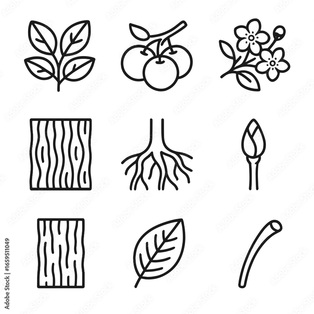 Poster apple tree icon set. outline icon set of apple tree parts: leaves cluster, twig with apples, branch 