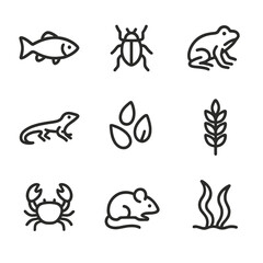 Naklejka premium Crane Diet Icons. Outline icon set of crane diet: fish, insects, amphibians, small reptiles, seeds, grains, crustaceans, rodents,