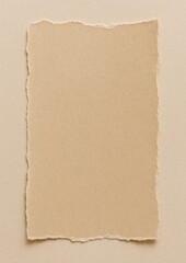 Textured torn paper background