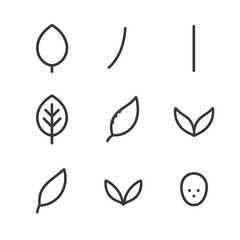 Obraz premium Leaf Anatomy Icons. Outline icon set of leaf parts: leaf blade, petiole, midrib, veins, leaf margin, leaf base, leaf tip, stipule,