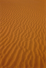 sand dunes in the desert 