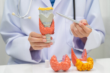 Hyperthyroidism, Overactive Thyroid, Thyroid Lymphoma, Asian doctor with thyroid gland human...