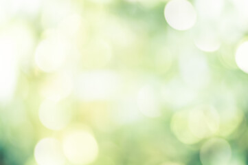ぼやけた光と玉ボケが重なる緑の背景
A green background with blurred light and bokeh