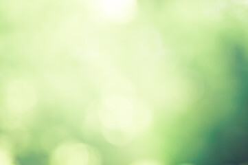 ぼやけた緑の背景
Blurred green background