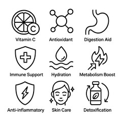 Fototapeta na wymiar Grapefruit Benefits Icons. Outline icon set of grapefruit health benefits: vitamin C, antioxidant, digestion aid, immune support,