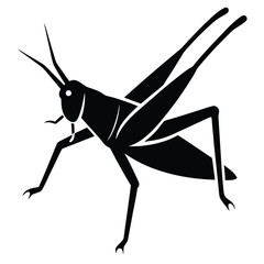 Vector illustration of a brown praying mantis insect silhouette isolated on a white background with a single antenna and long legs