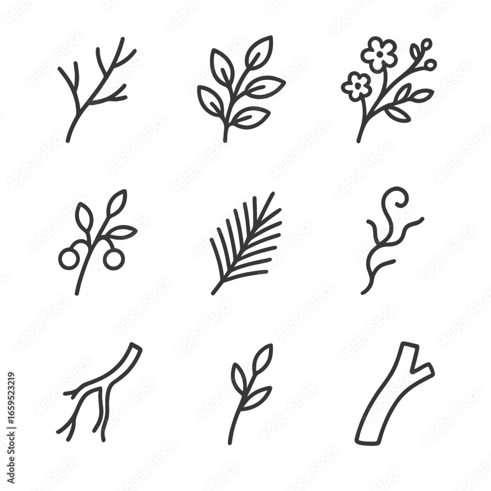 Poster branch icon set. outline icon set of branch types: bare branch, leafy branch, flowering branch, frui
