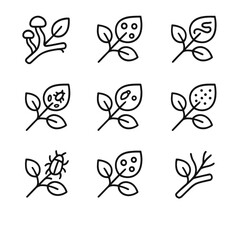 Branch Pest Icons. Outline icon set of branch diseases and pests: fungal infection, insect holes, leaf miner, aphids, scale