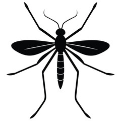A vector illustration of a dragonfly or mosquito, a flying insect with large wings, a bug often found in nature