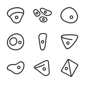 Climbing Holds Icons. Outline icon set of climbing holds: jug hold, crimps, sloper, pocket hold, pinch grip, edge hold, undercling