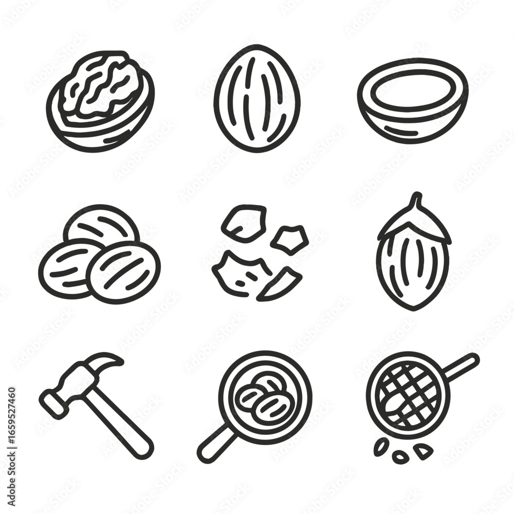 Poster nut shell iconography. outline icon set of nut shells: cracked shell, whole shell, half shell, empty